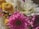 A close-up of a beautifully arranged bouquet with vibrant flowers.