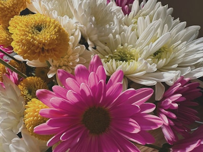 A close-up of a beautifully arranged bouquet showcasing various colorful flowers.