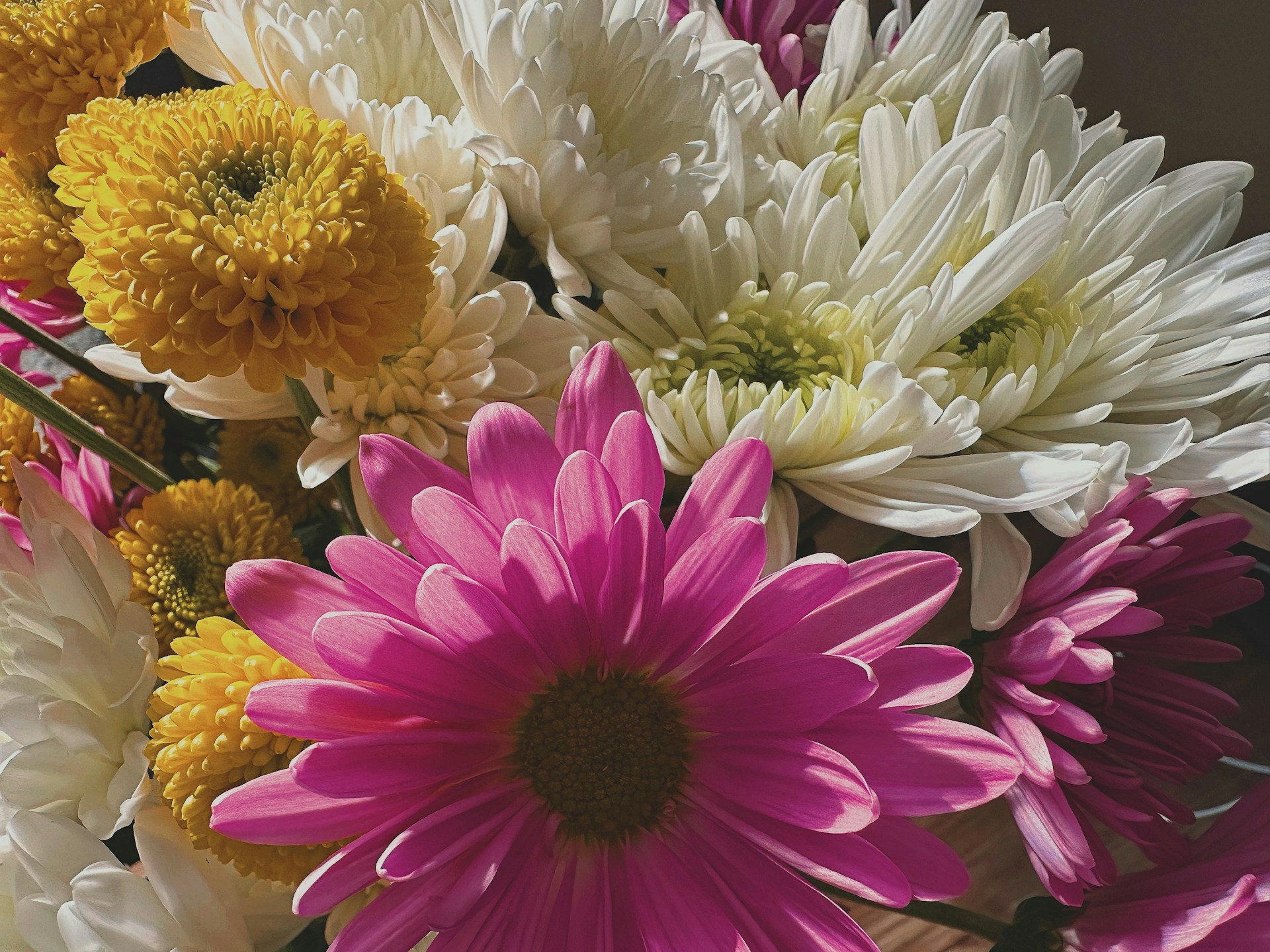 A close-up of a beautifully arranged bouquet of flowers, showcasing vibrant colors and delicate textures.