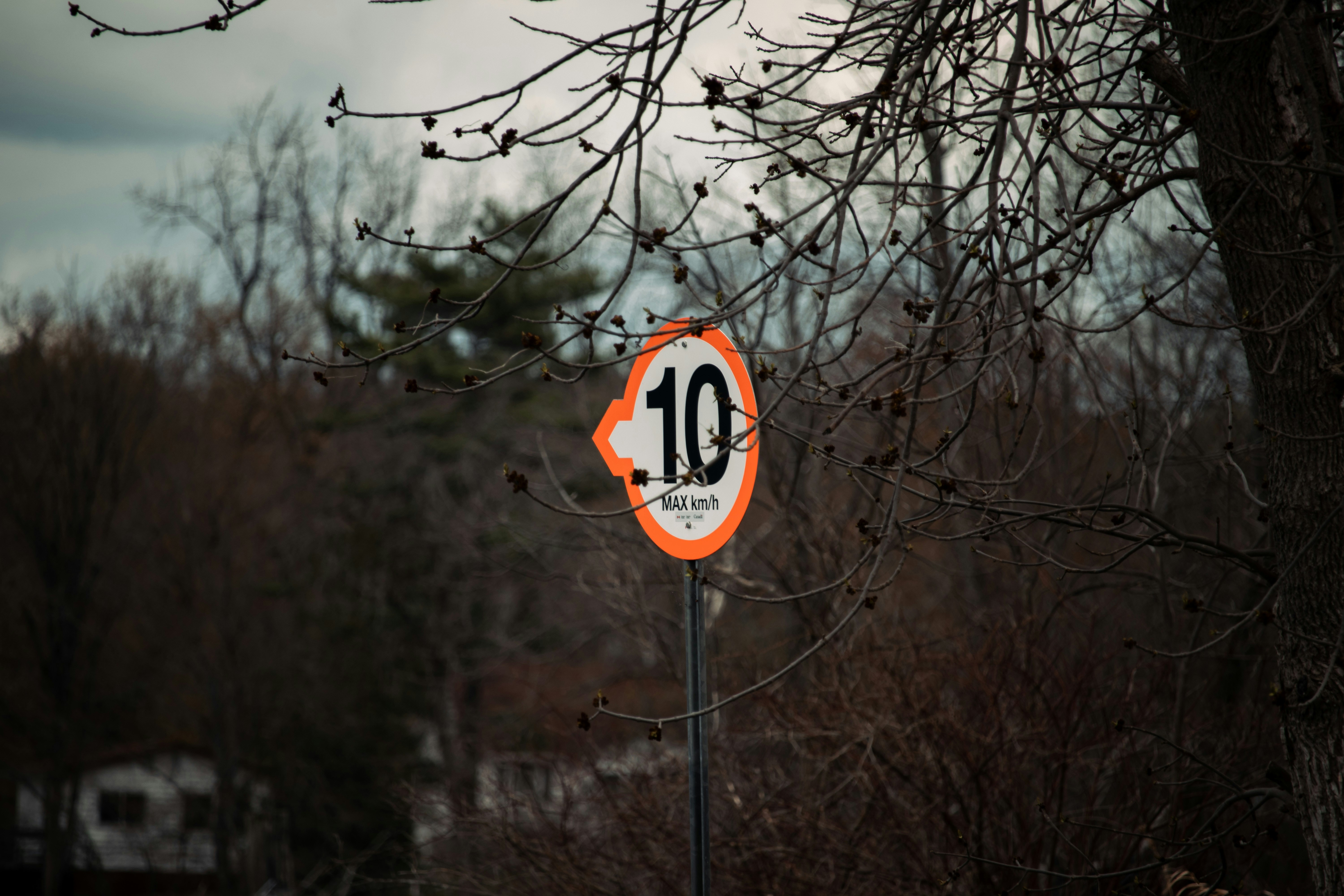 an orange and white street sign sitting next to a tree