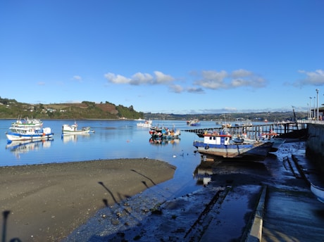Several colorful fishing boats are docked or floating on a calm body of water, with a wooden pier extending out into the bay. In the background, there are hills and scattered houses under a blue sky with some clouds. The shoreline is visible with wet sand and mud.