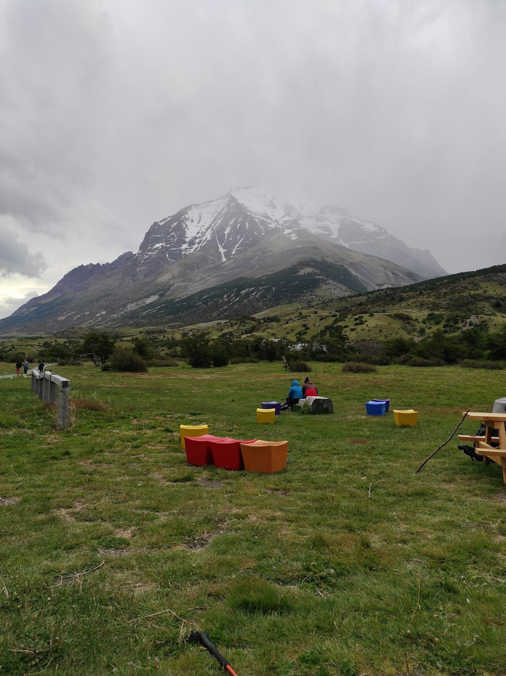 a group of people sitting on top of a lush green field