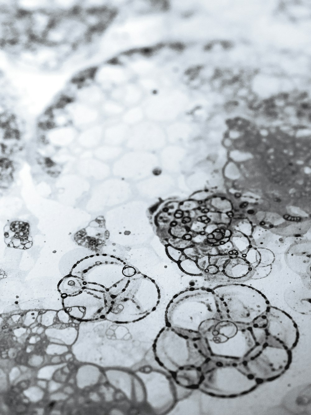 a black and white photo of bubbles and circles