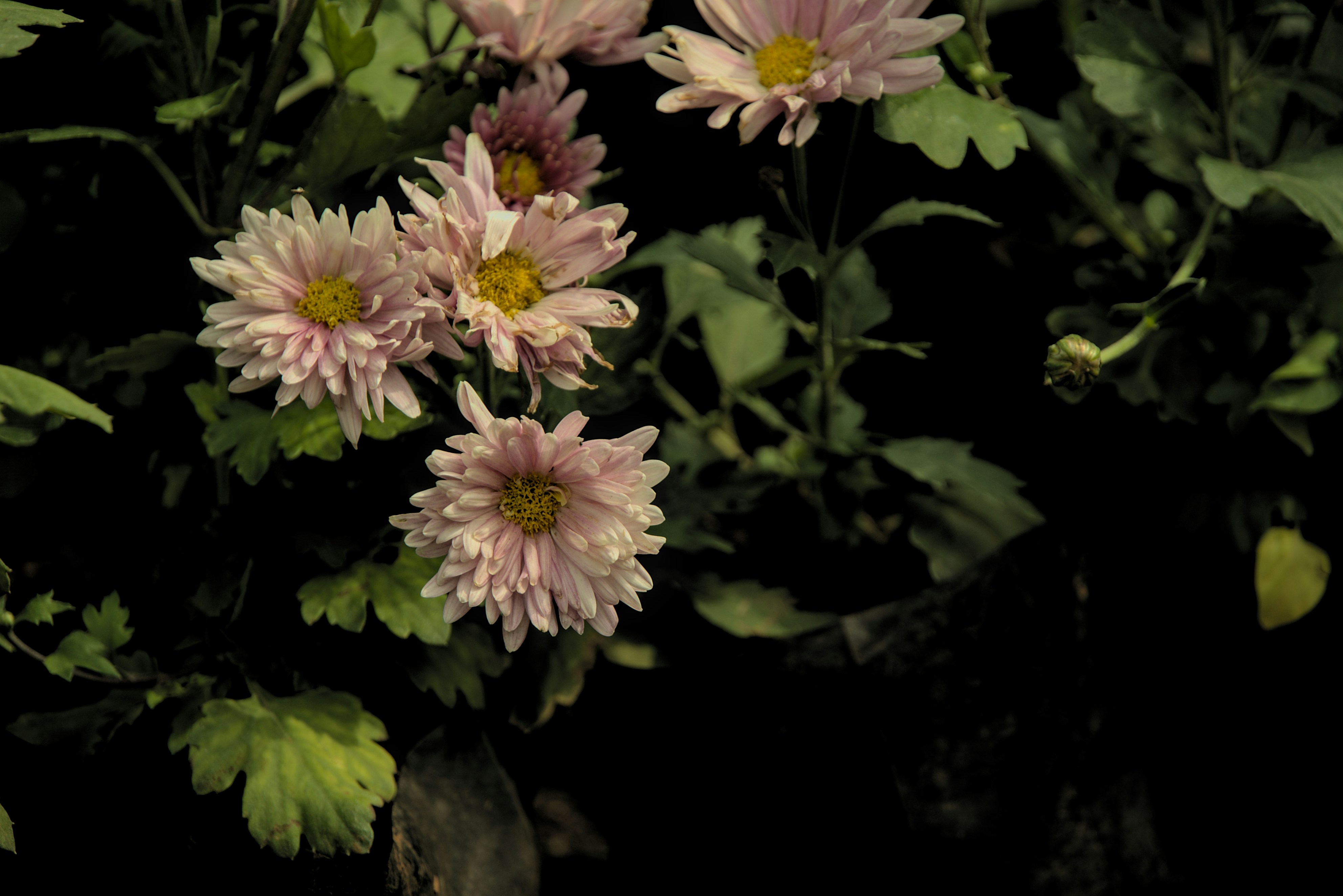 Photo by ghostlostinstatic