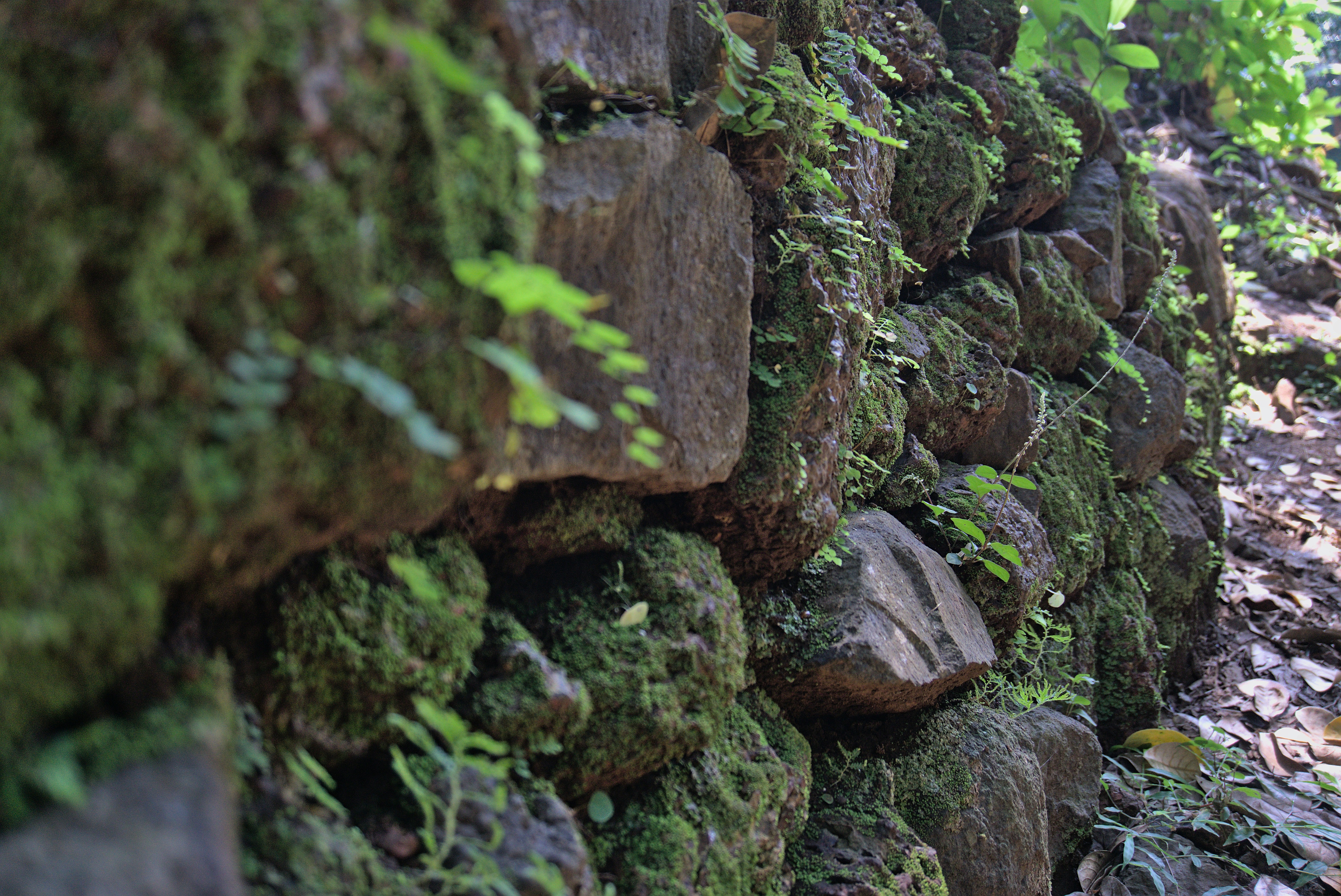 Photo by ghostlostinstatic