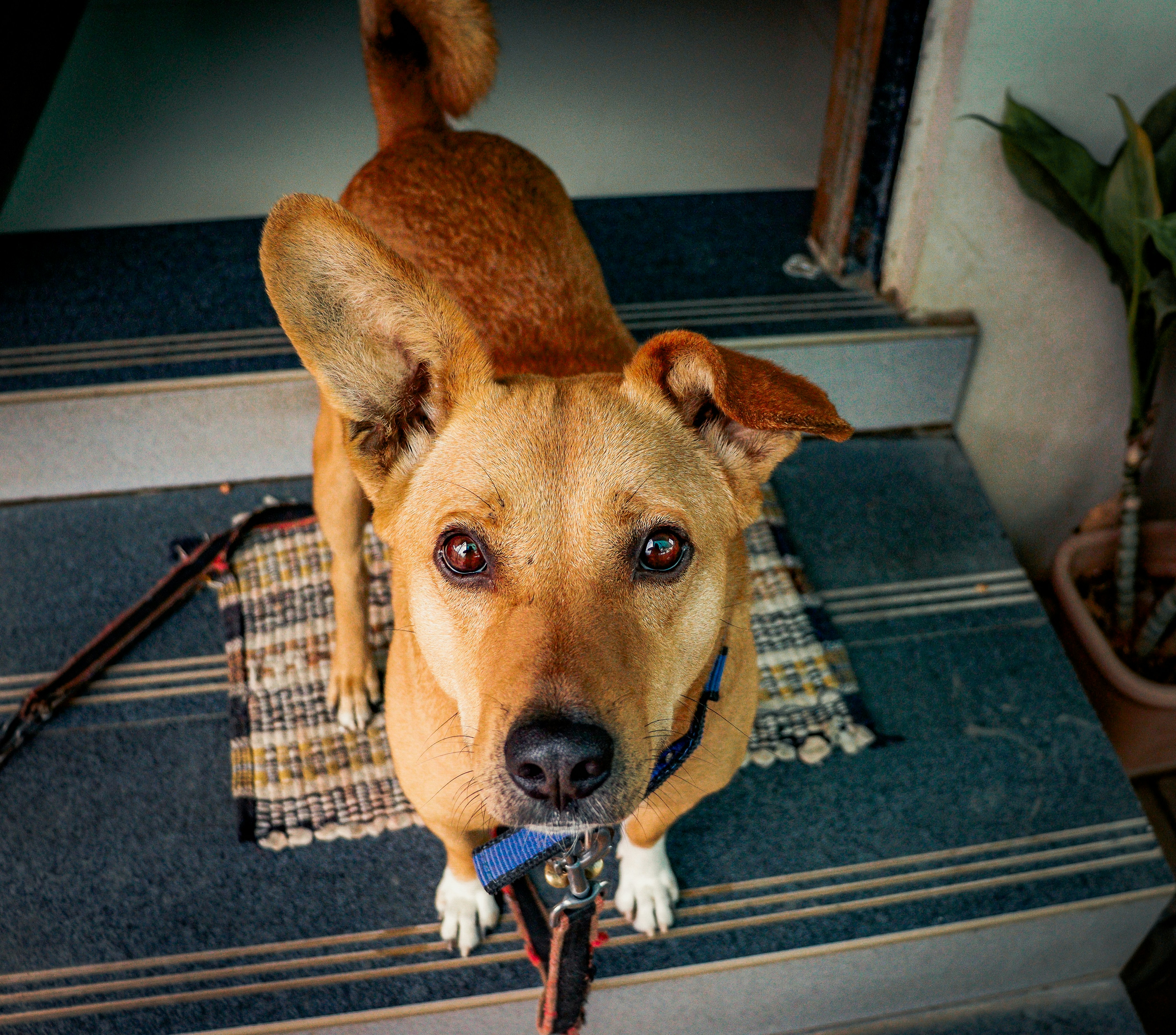 Photo by parimaljain