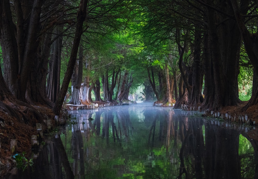 Kayak en Xochimilco 2