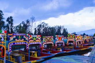 Brightly painted boats with colorful arches and decorated fronts, typical of Xochimilco in Mexico City, line up on a calm water canal. Trees in the background create a natural border, and the cloudy sky adds depth to the scene.