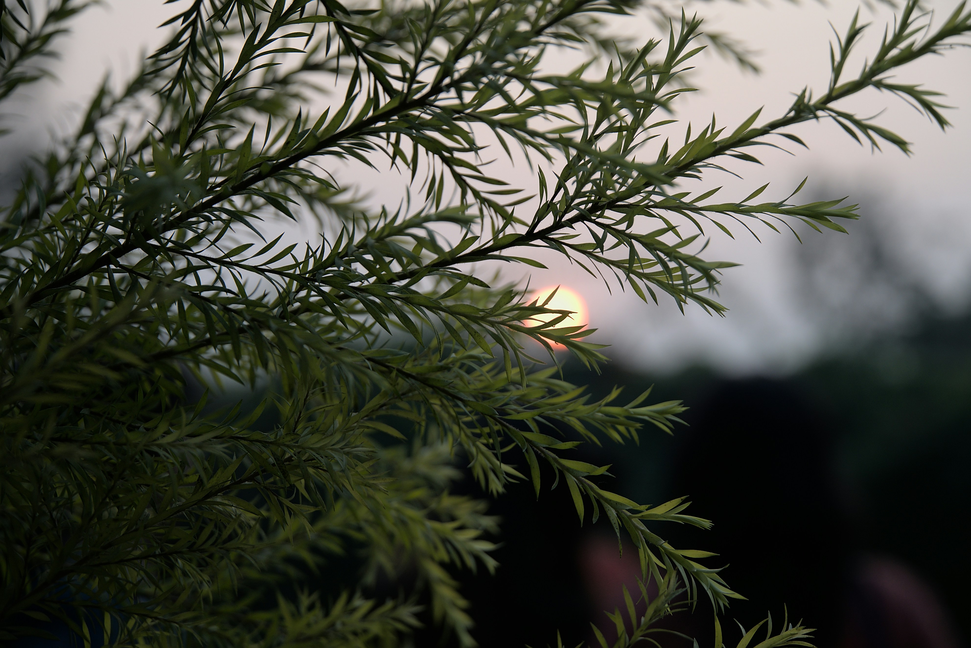 Photo by ghostlostinstatic