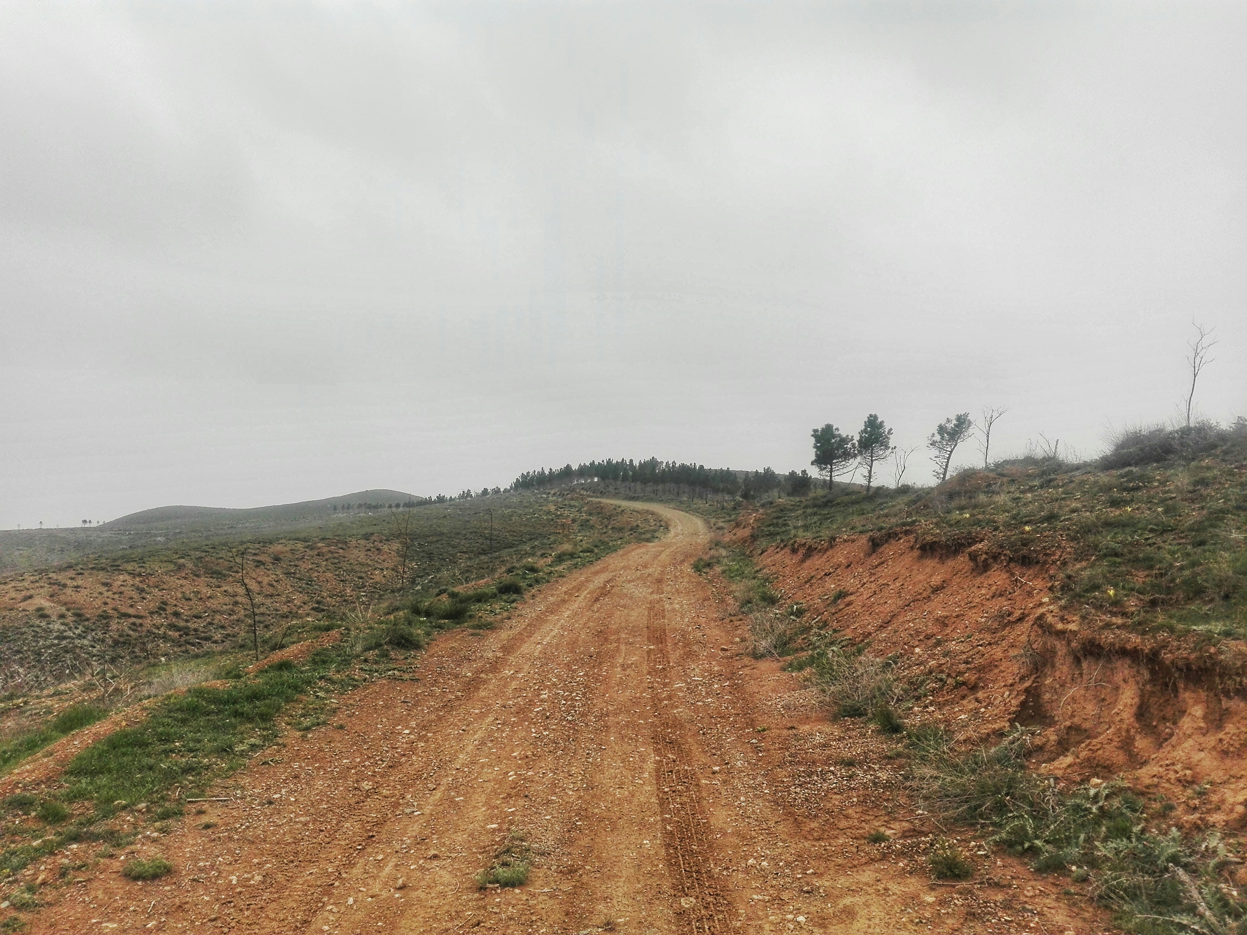 Photo by heydarnejad