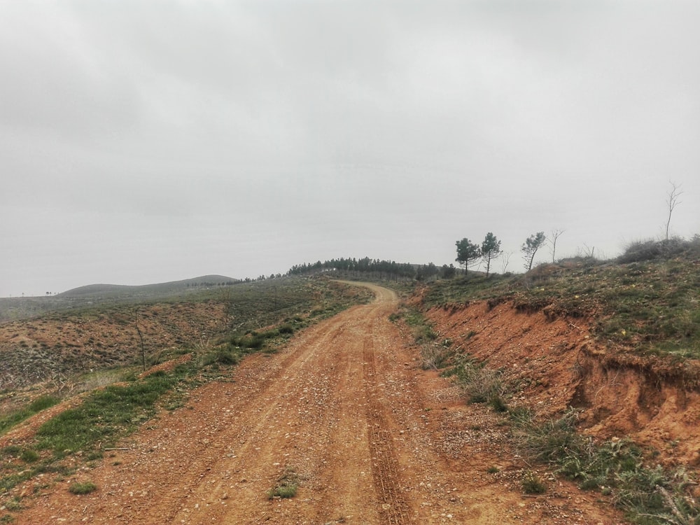 a dirt road in the middle of a field