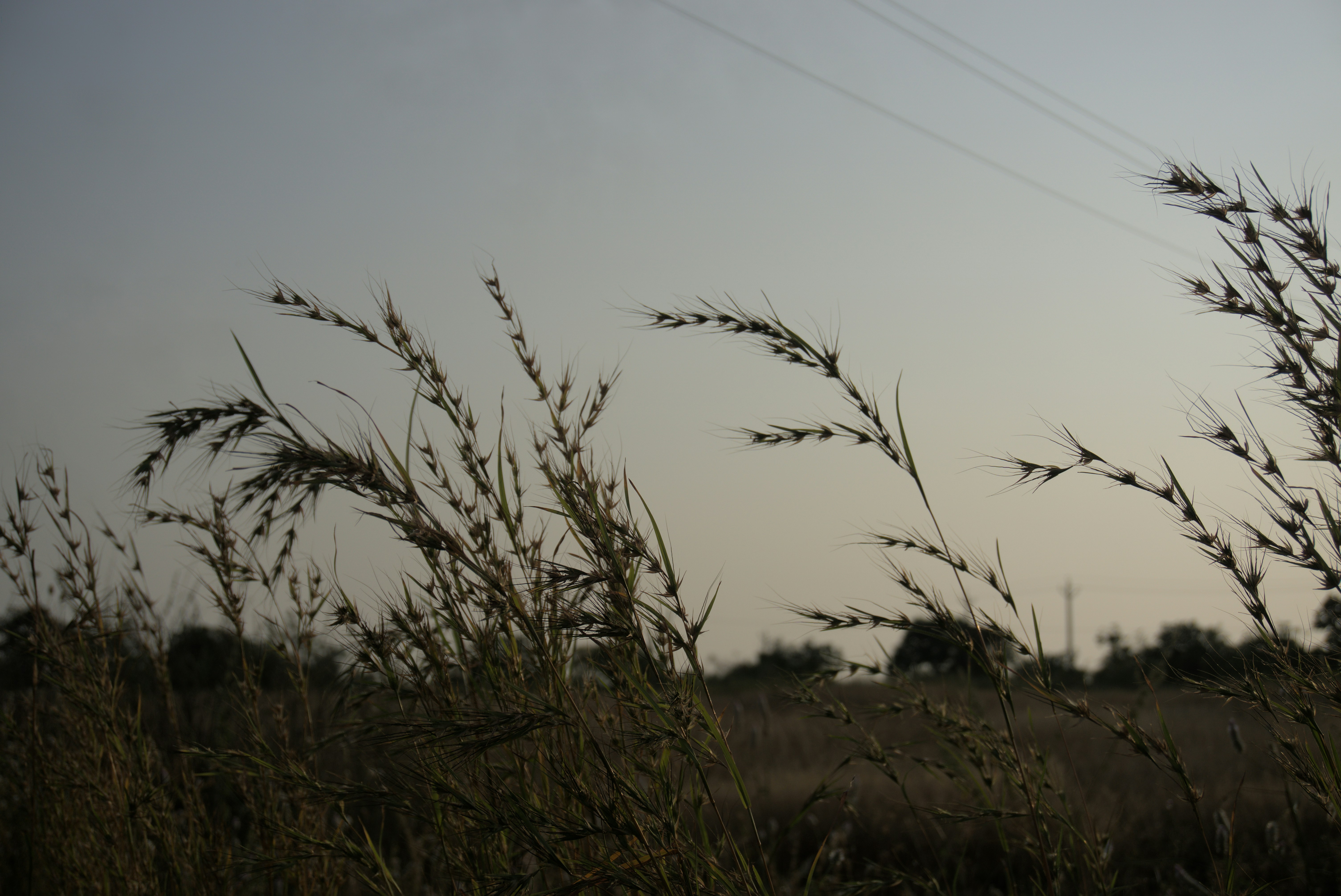 Photo by ghostlostinstatic