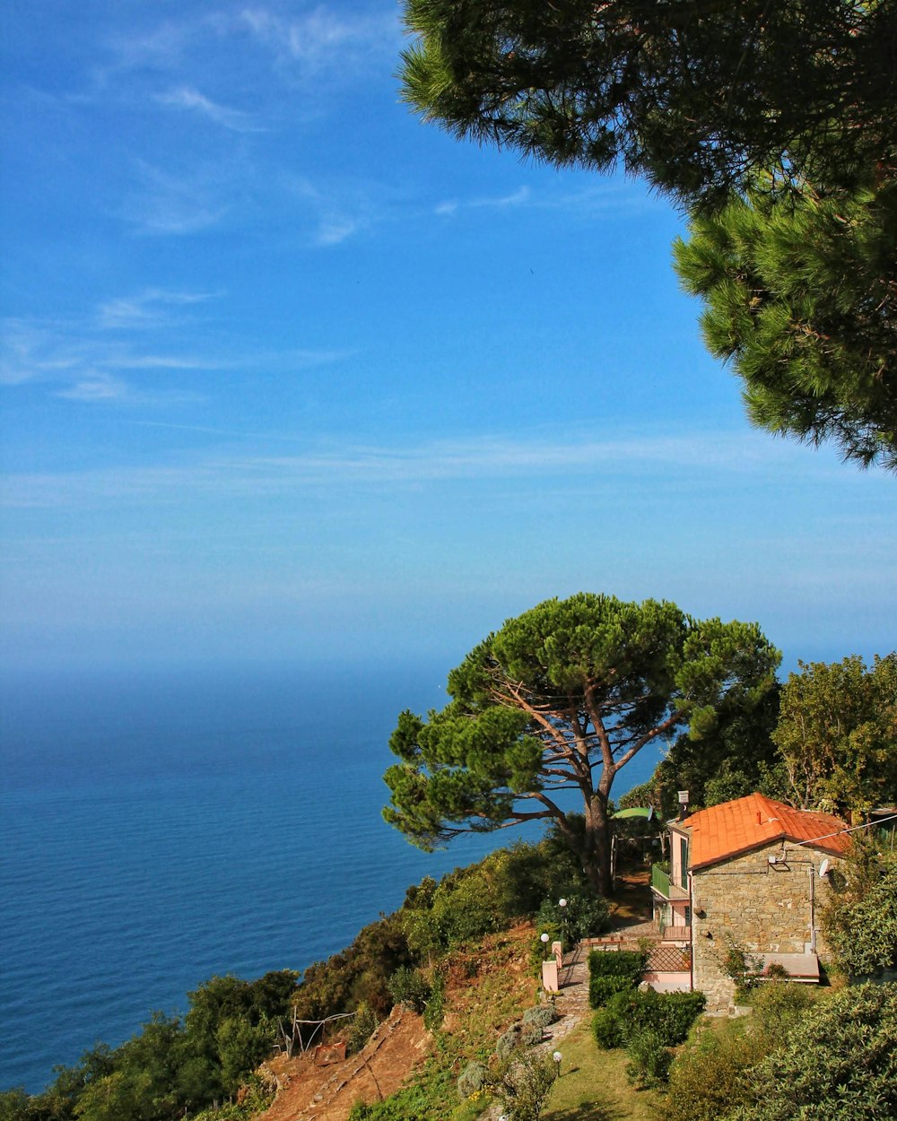 a house on a hill overlooking the ocean