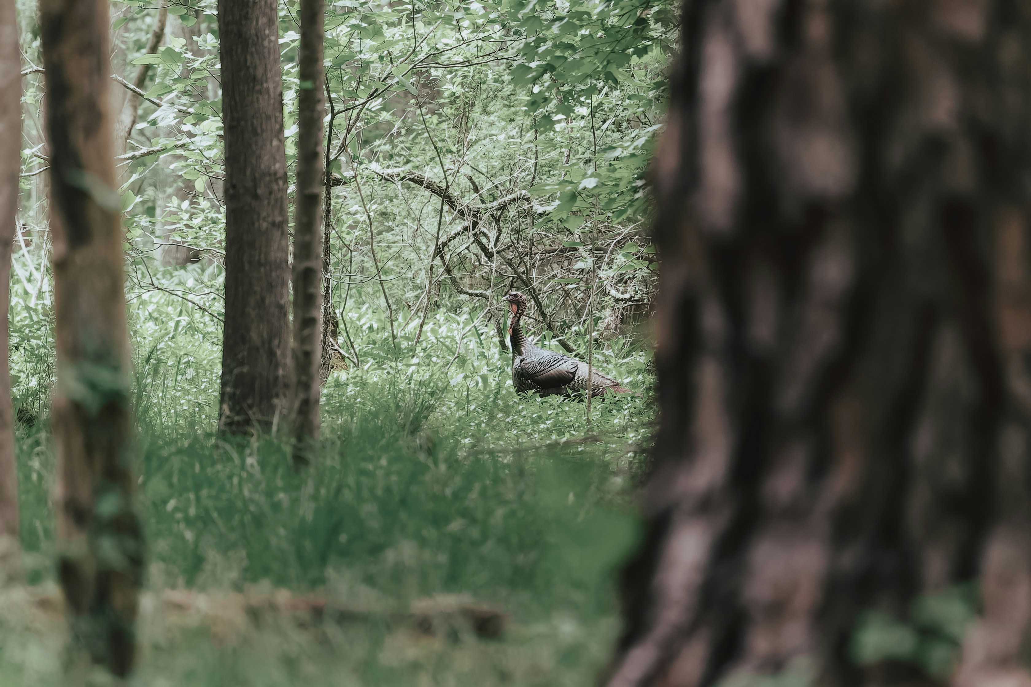 Photo by jordan_ryskamp