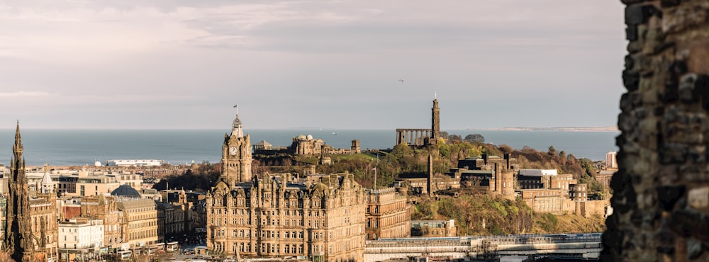 a view of a city with a castle in the background