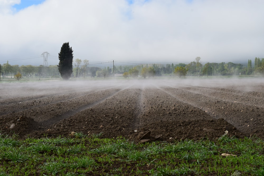 a field that has a lot of dirt in it