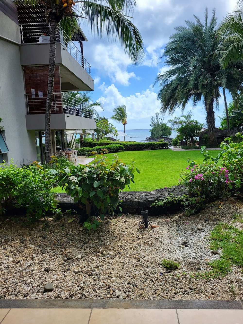 a view of a lush green lawn next to a building