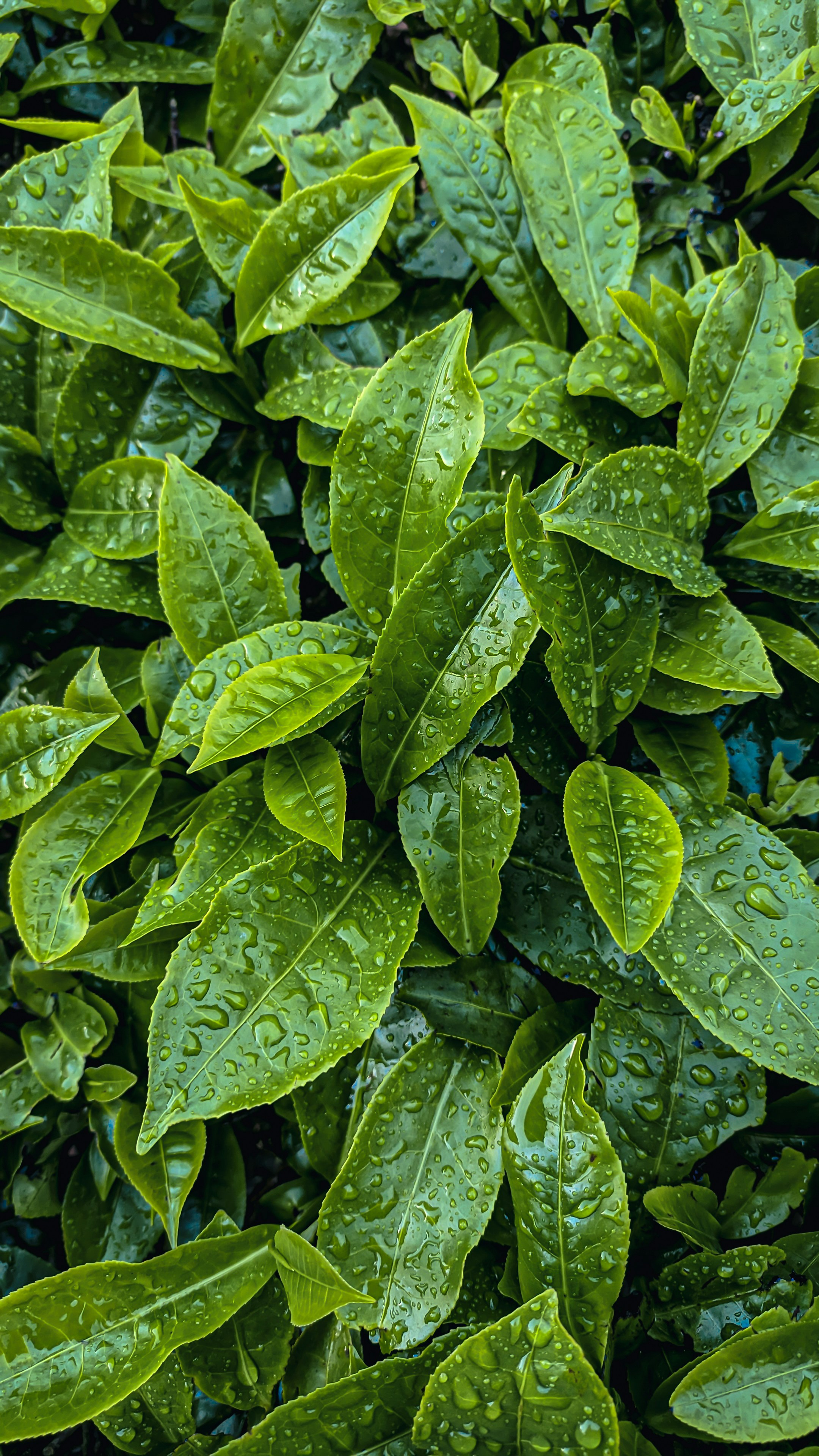 Photo by solomon_2929