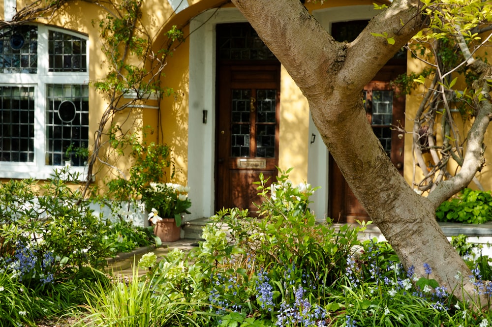 une maison jaune avec un arbre devant elle