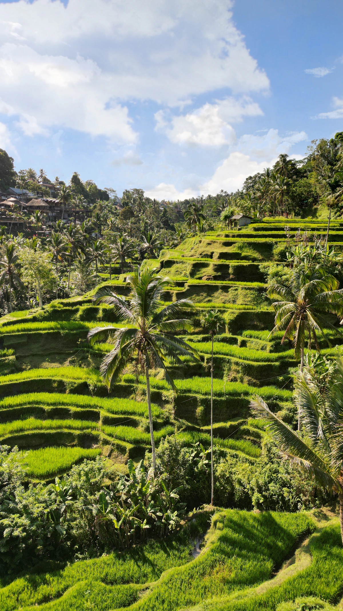 Verdant river valleys and undisturbed rural agrarian life in Sidemen