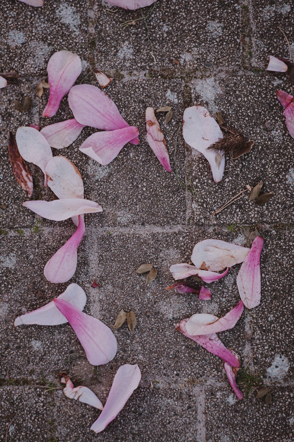 地面に横たわっている花の束