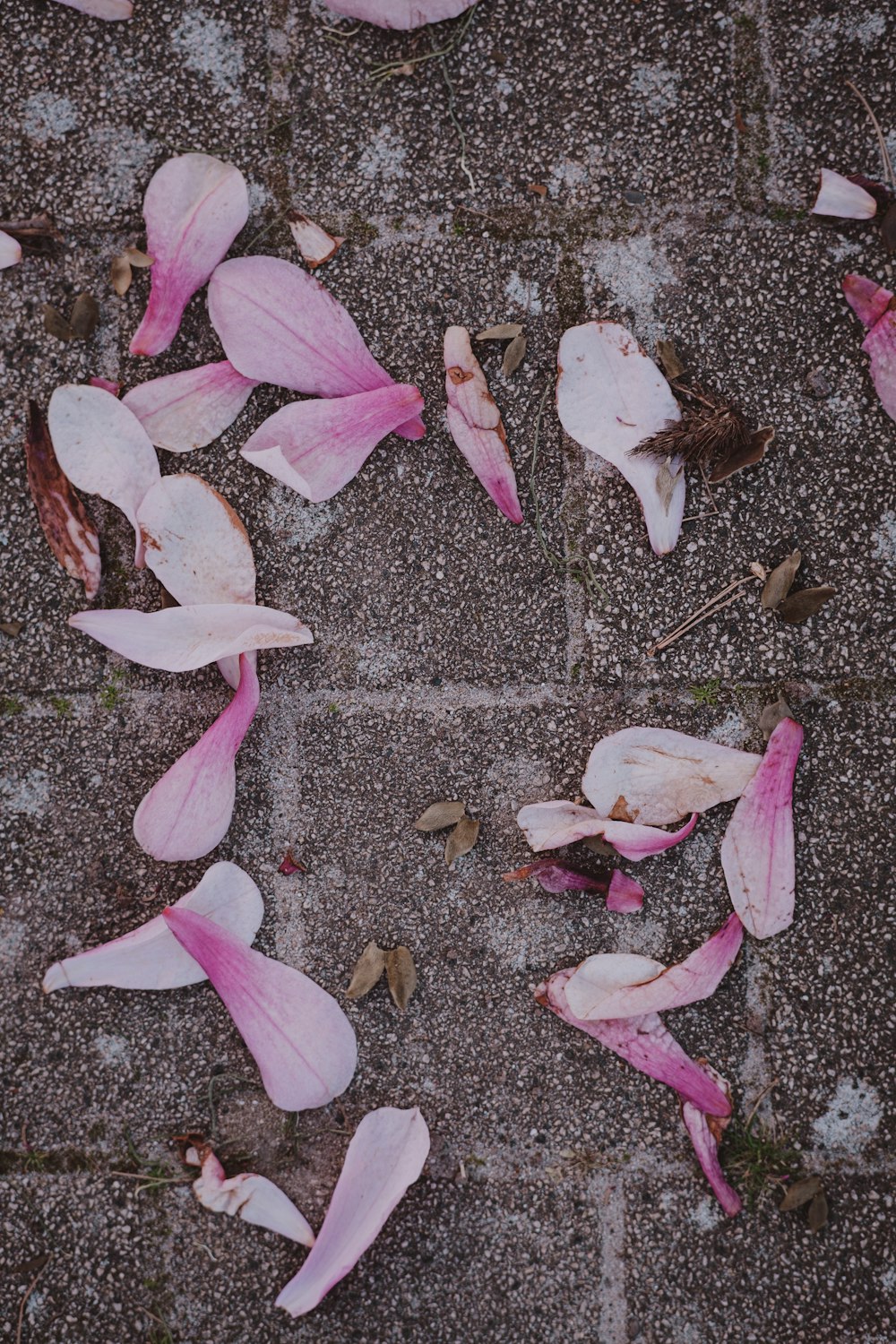 ein Strauß Blumen, die auf dem Boden liegen