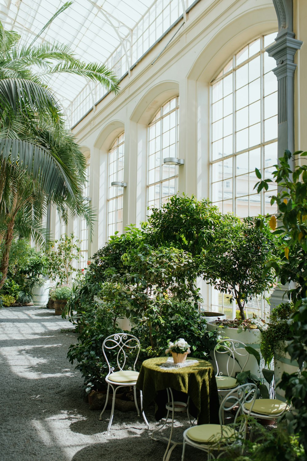 a room filled with lots of plants and tables