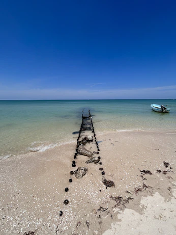 a boat sitting on top of a beach next to the ocean