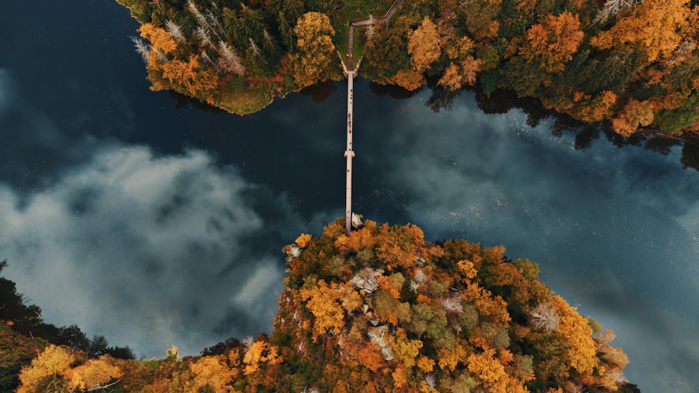 an aerial view of a lake surrounded by trees