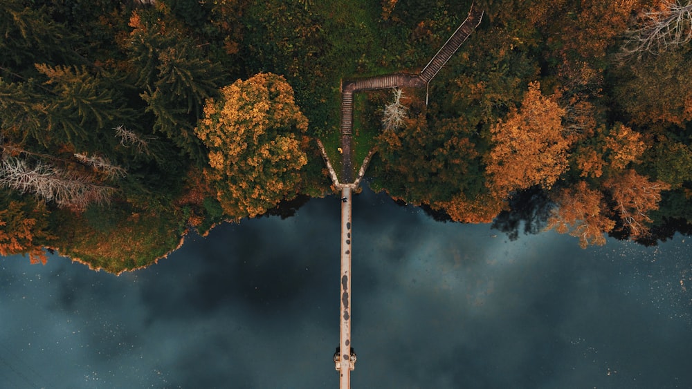 an aerial view of a train track surrounded by trees
