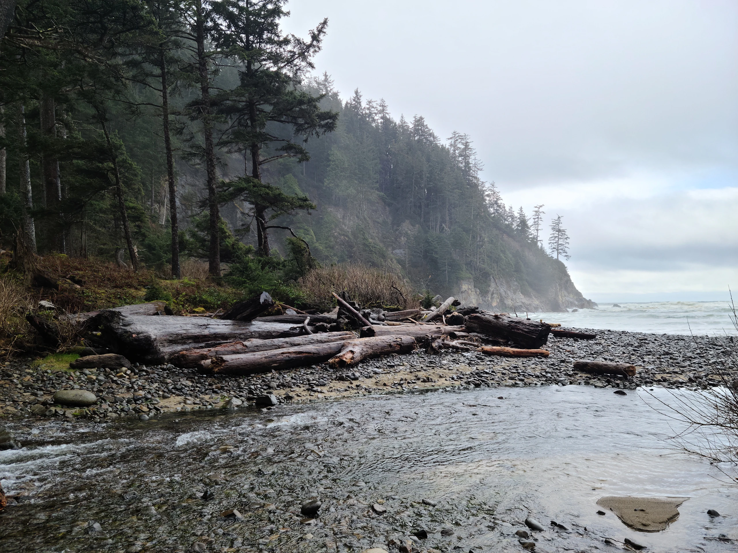 A rocky Pacific shoreline with driftwood logs and forested headlands fading into mist