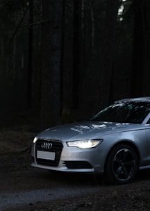a silver car parked in a dark forest