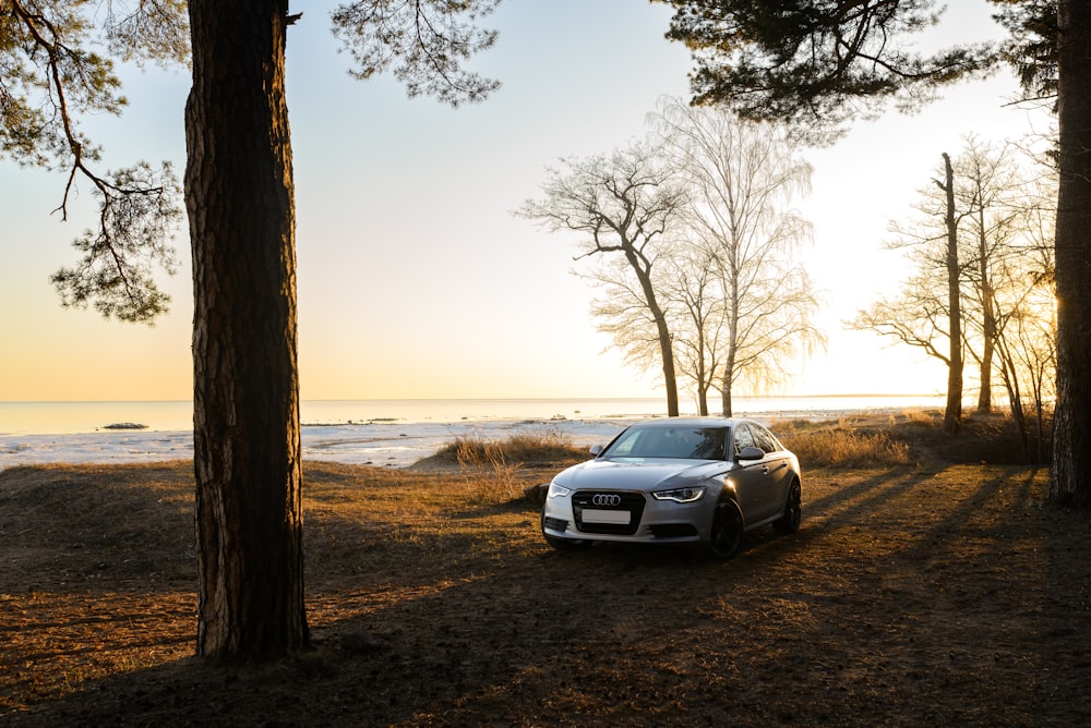 a car parked on the side of a road next to trees