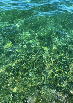 Clear, vibrant green water with visible waves and light reflections creating a dynamic pattern on the surface.