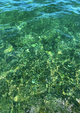 Samples of treated water showing clarity improvements after using Ecosynth solutions.