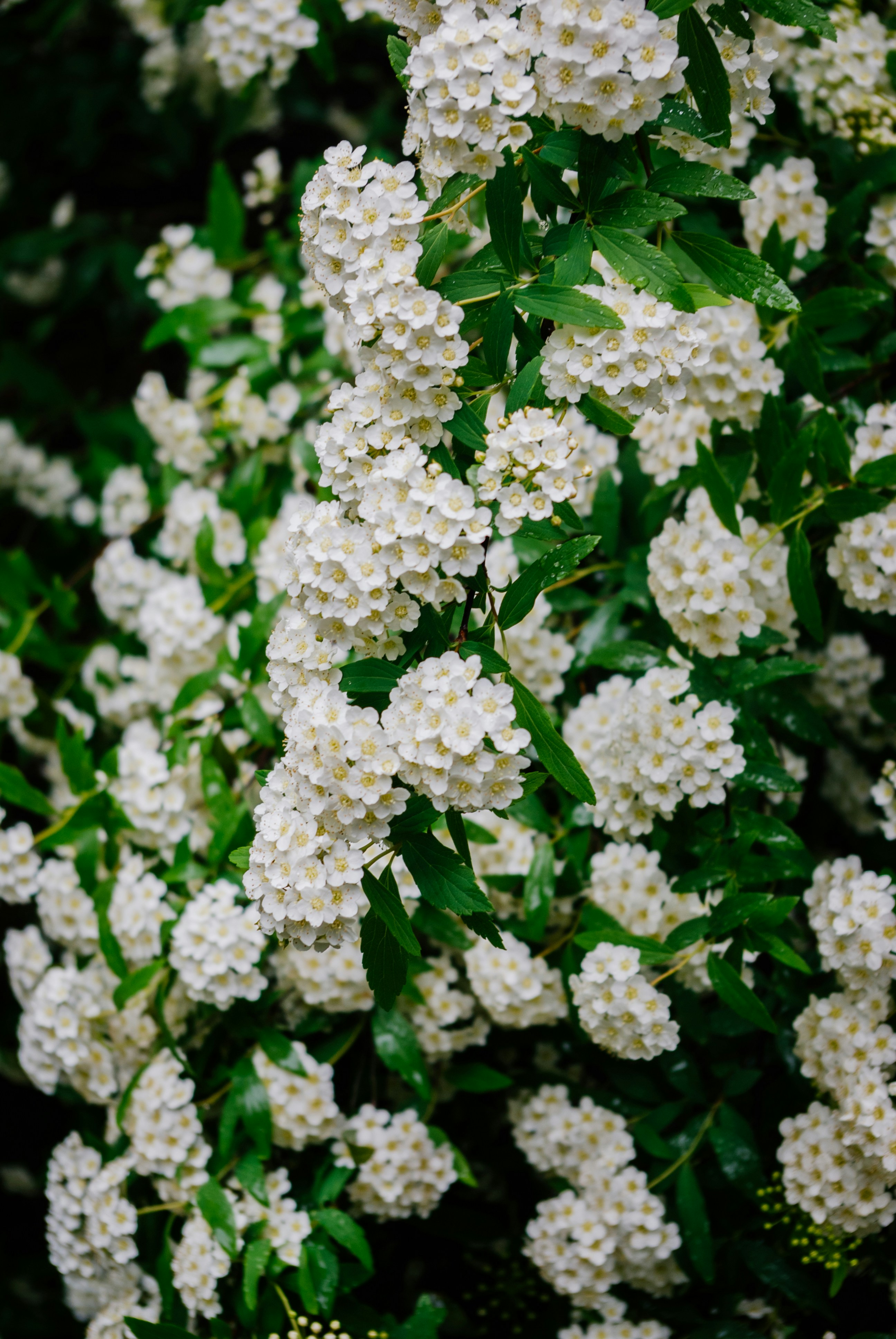 Photo by moonmoons_days