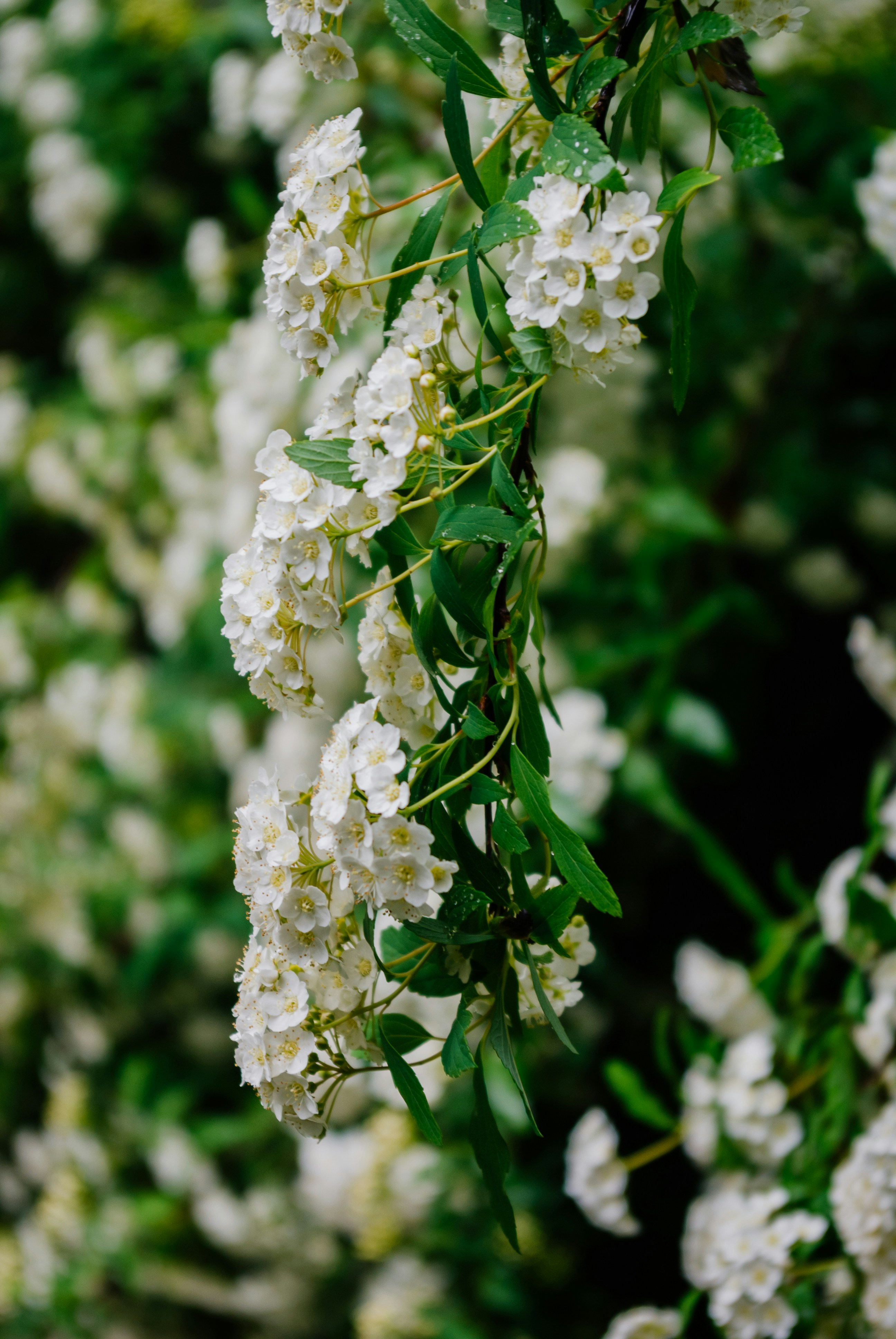 Photo by moonmoons_days