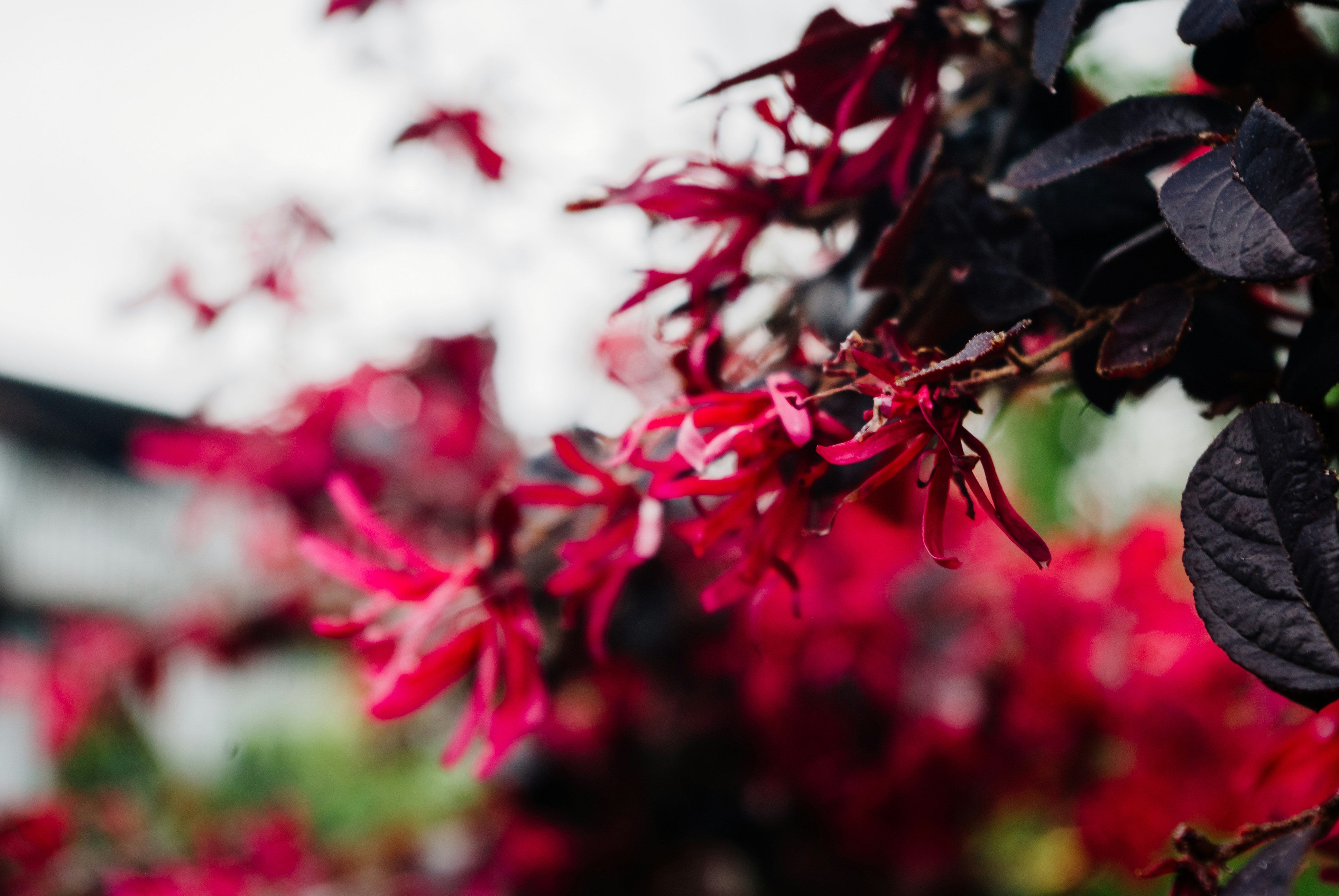 Photo by moonmoons_days