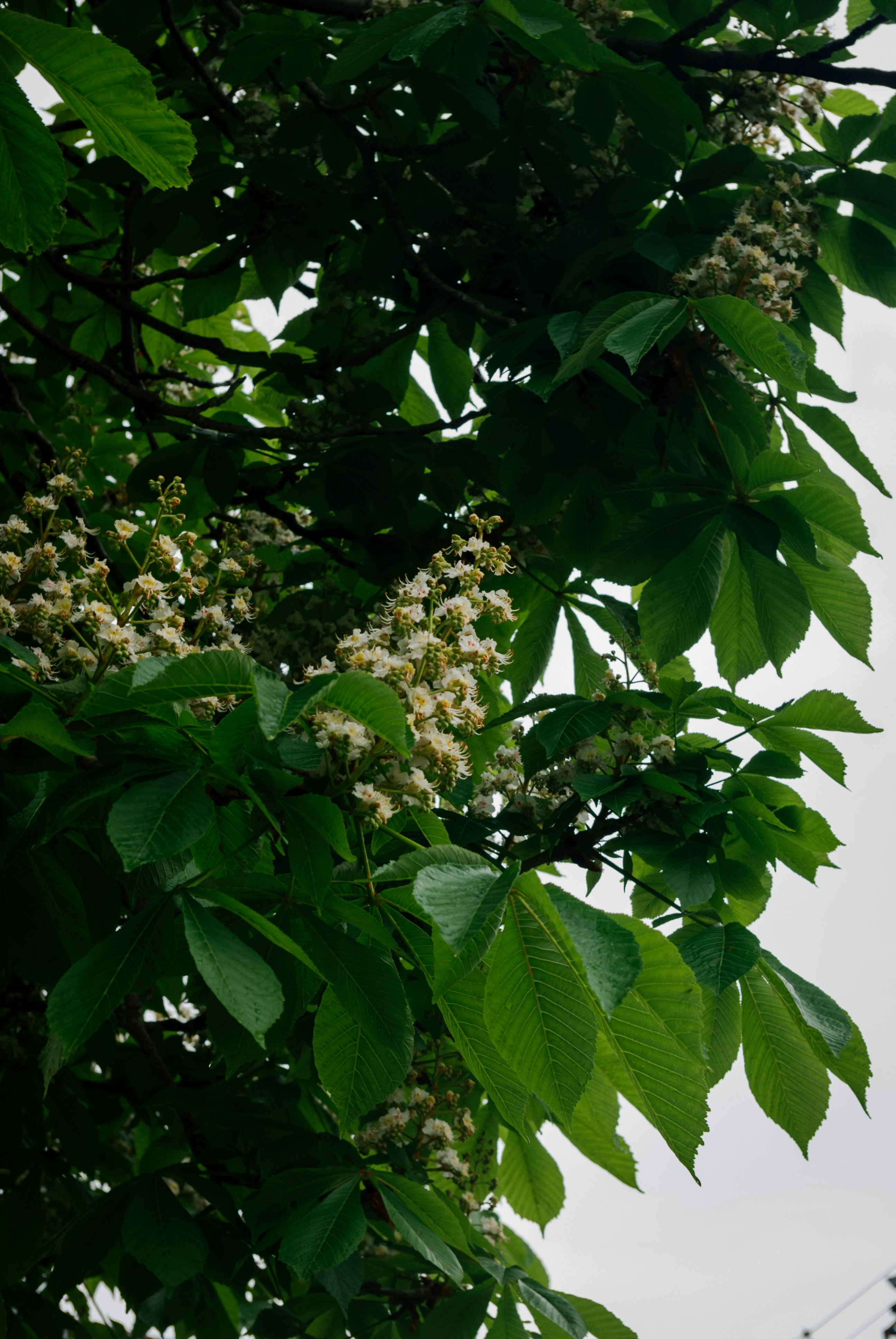 Photo by moonmoons_days