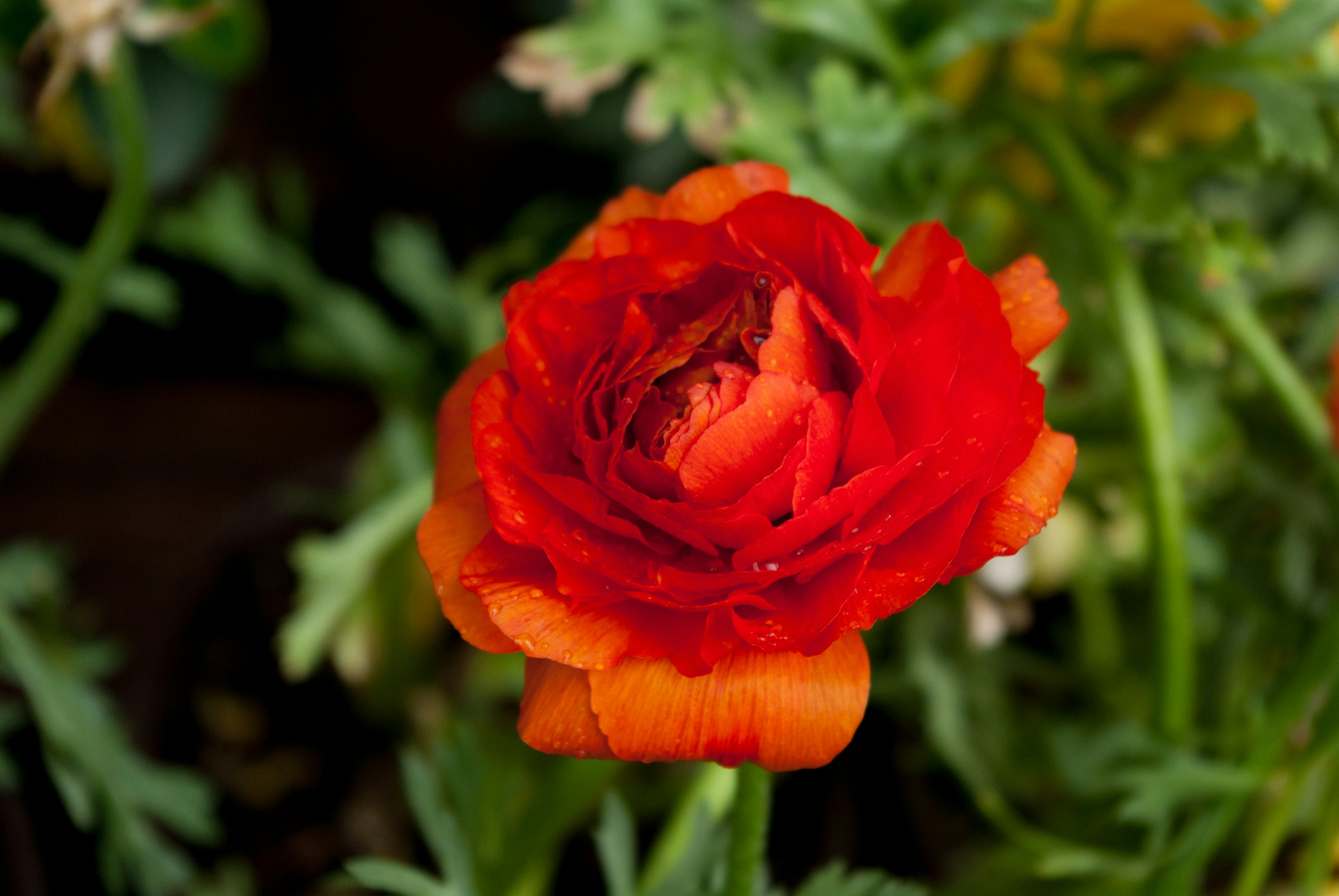 Photo by moonmoons_days