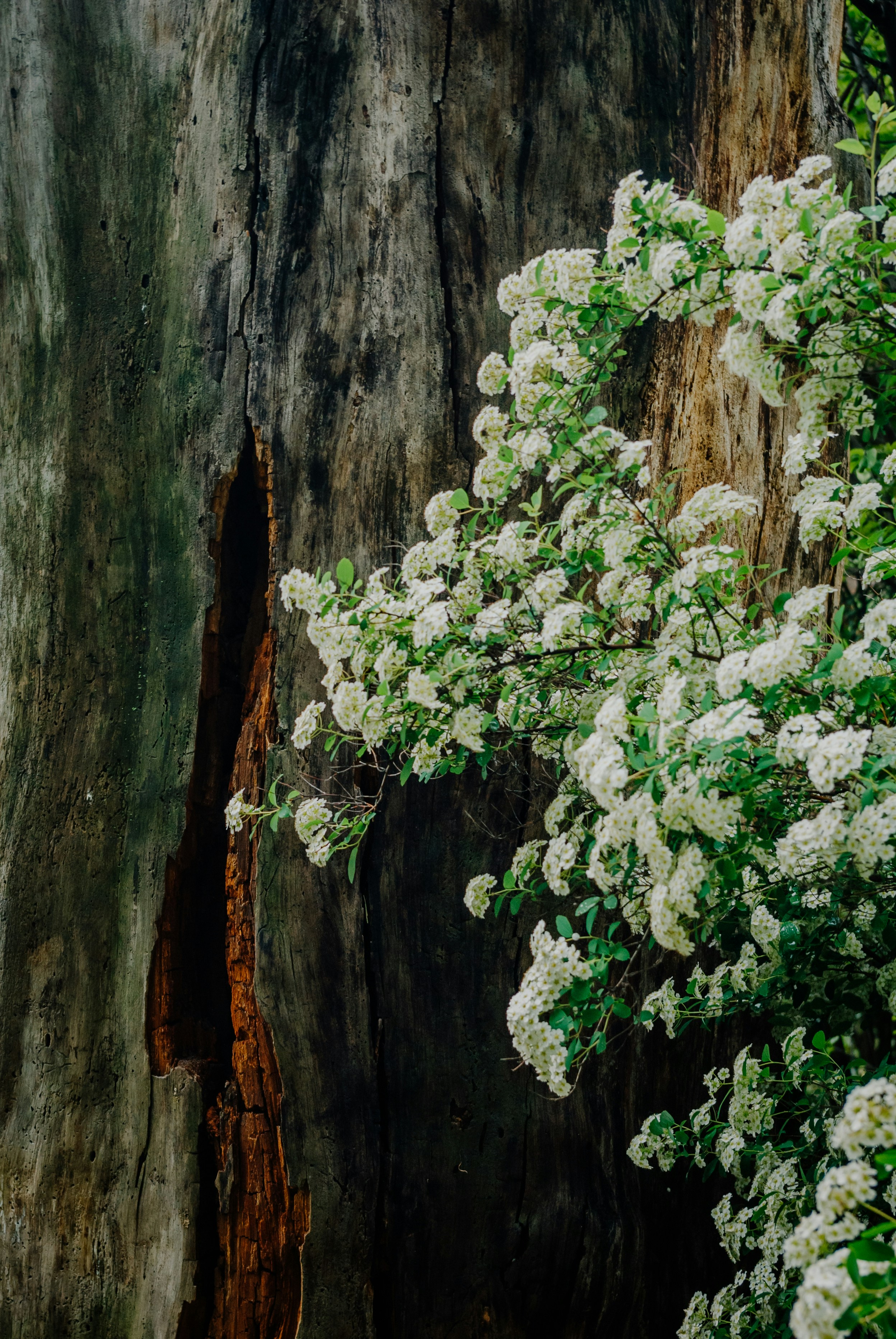 Photo by moonmoons_days