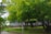 A peaceful garden setting with lush green trees and neatly trimmed bushes. A small path runs through the garden, surrounded by vibrant greenery and a calm, natural atmosphere. A subtle white building serves as a backdrop, partially hidden by the foliage.