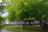 A peaceful garden setting with lush green trees and neatly trimmed bushes. A small path runs through the garden, surrounded by vibrant greenery and a calm, natural atmosphere. A subtle white building serves as a backdrop, partially hidden by the foliage.