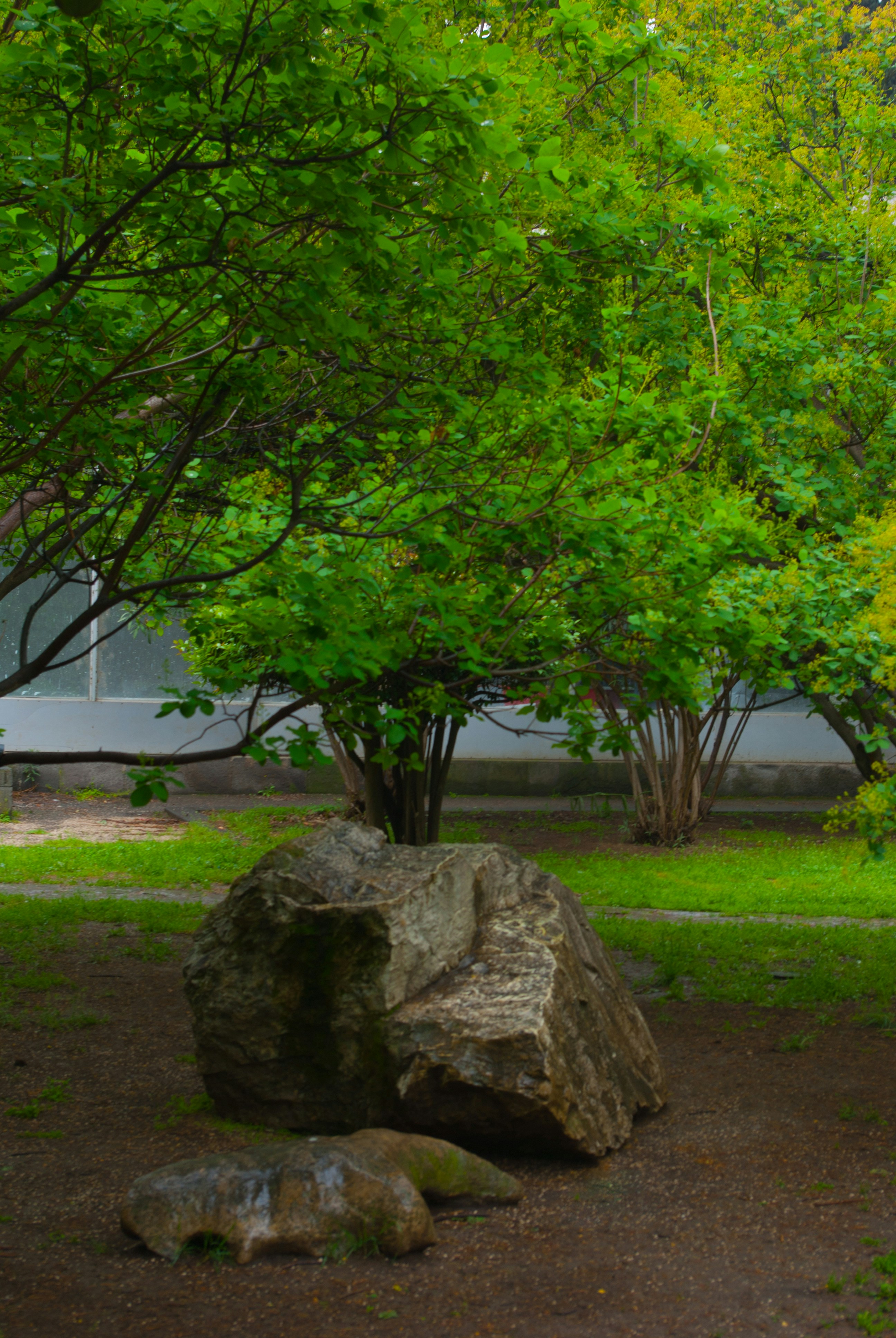 Photo by moonmoons_days