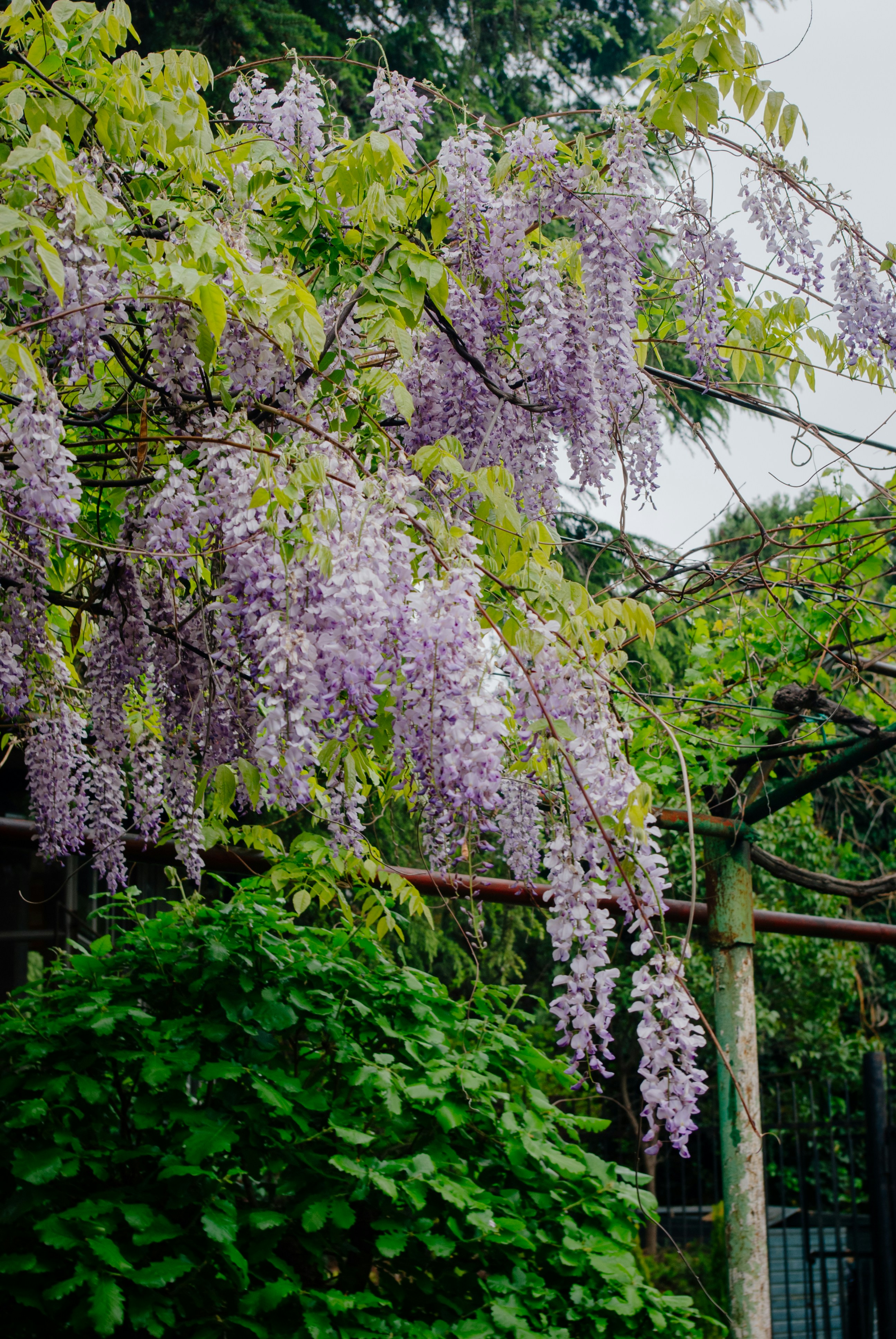 Photo by moonmoons_days