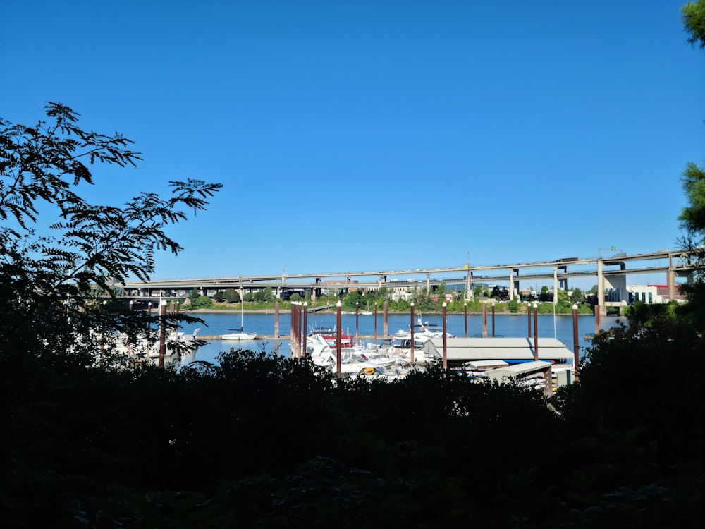 a view of a bridge over a body of water