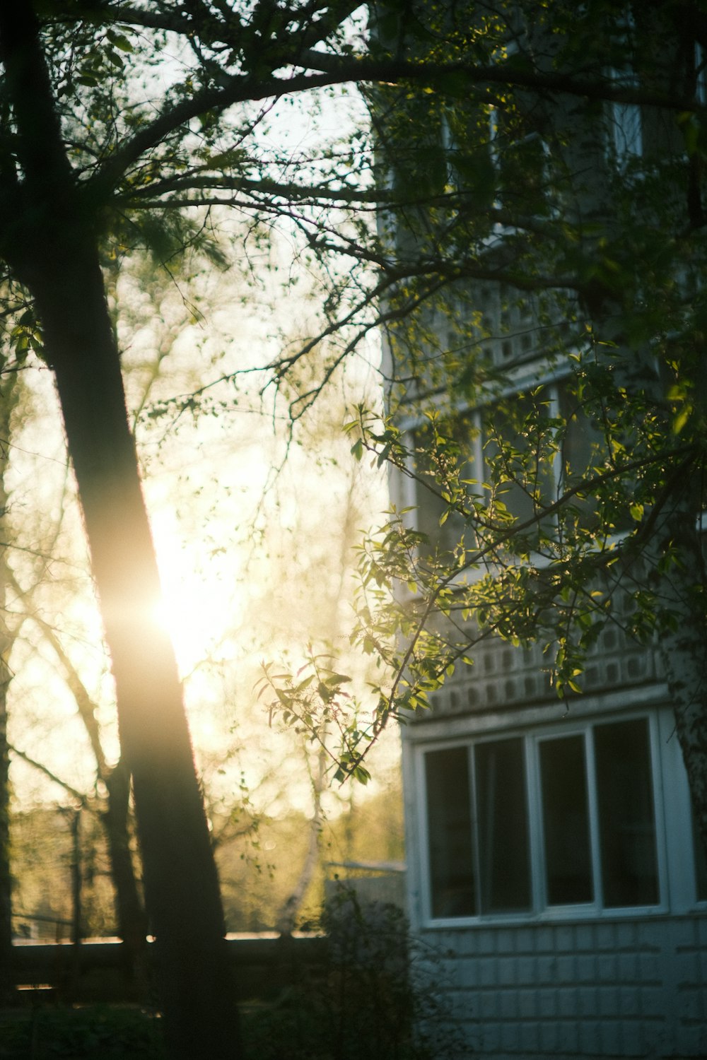 the sun shines through the trees in front of a house