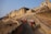 A long line of decorated elephants ascends a stone pathway leading up to a large, historic fort with intricate architecture and multiple levels. The structure is made of yellow sandstone and features traditional Rajasthani design elements including decorative windows and towers.
