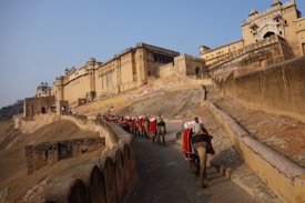 A long line of decorated elephants ascends a stone pathway leading up to a large, historic fort with intricate architecture and multiple levels. The structure is made of yellow sandstone and features traditional Rajasthani design elements including decorative windows and towers.