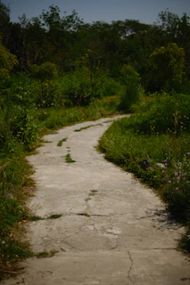 A winding stone path surrounded by lush greenery and colorful plants in a peaceful backyard.